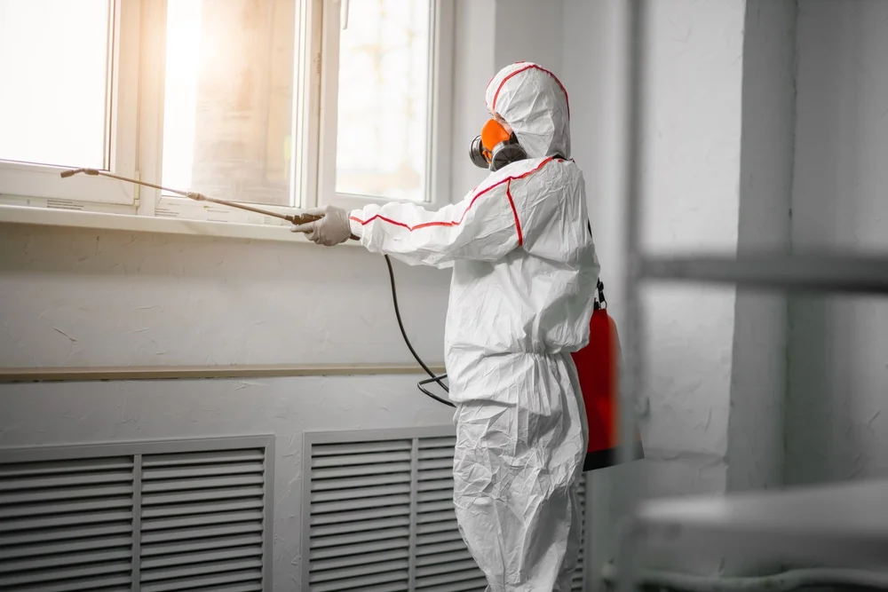 Professional mold remediation services in Doss, TX
